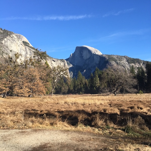 Meet your Posher, Haley - Picture 1 of 1